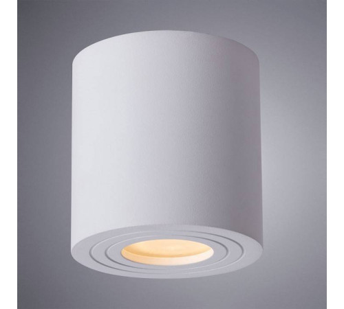 Накладной светильник Arte Lamp Galopin A1460PL-1WH