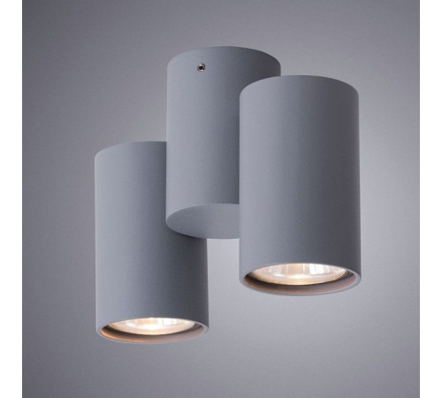Спот Arte Lamp Gavroche A1511PL-2GY