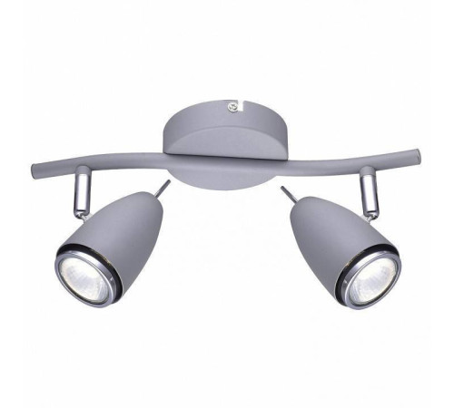 Спот Arte Lamp Regista 2 лампы серый A1966AP-2GY