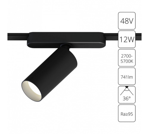 Светильник на штанге Arte Lamp Rapid A2958PL-1BK