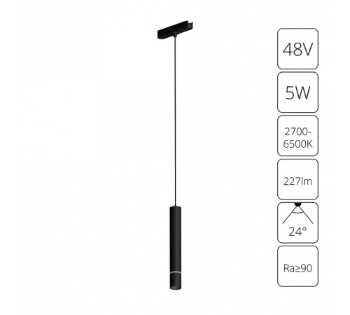 Подвесной светильник Arte Lamp Rapid A2959PL-1BK