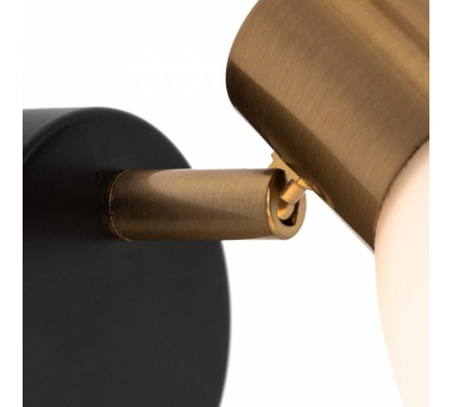 Бра Arte Lamp Falena A3117AP-1BK