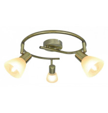 Спот Arte Lamp Parry A5062PL-3AB