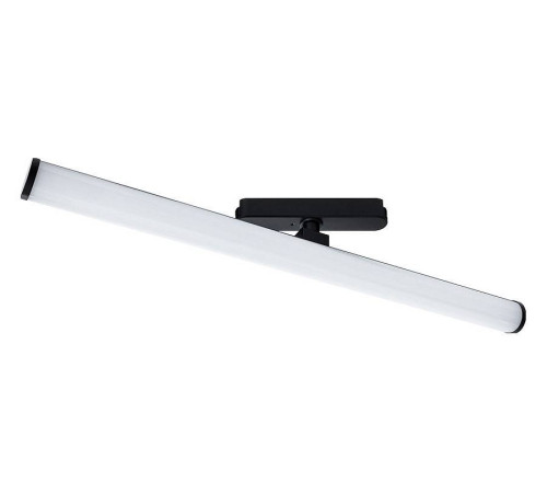 Светильник на штанге Arte Lamp Rapid A6165PL-1BK