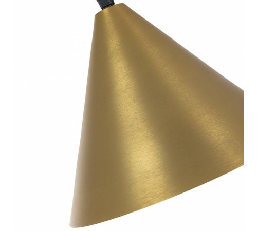 Подвесной светильник Arte Lamp David A7033SP-1BK