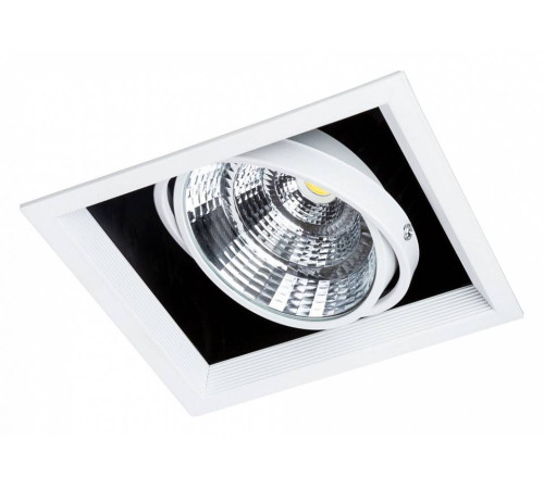 Встраиваемый светильник Arte Lamp Merga A8450PL-1WH