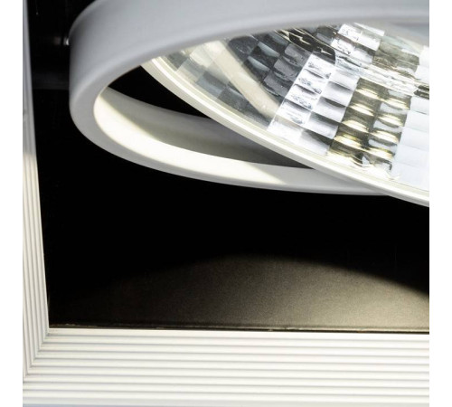 Встраиваемый светильник Arte Lamp Merga A8450PL-1WH