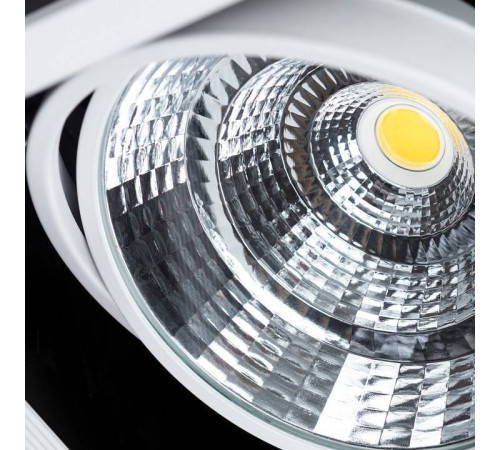 Встраиваемый светильник Arte Lamp Merga A8450PL-1WH