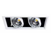 Встраиваемый светильник Arte Lamp Merga A8450PL-2WH