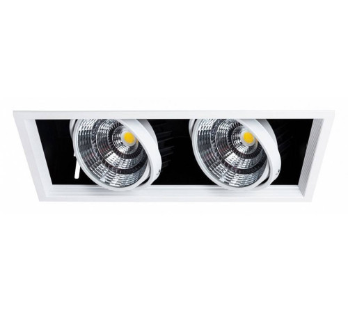 Встраиваемый светильник Arte Lamp Merga A8450PL-2WH