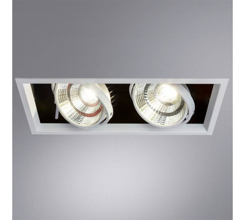 Встраиваемый светильник Arte Lamp Merga A8450PL-2WH