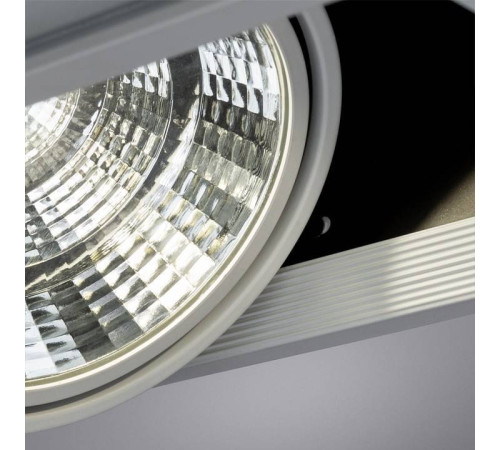 Встраиваемый светильник Arte Lamp Merga A8450PL-2WH