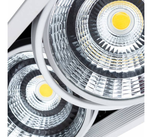 Встраиваемый светильник Arte Lamp Merga A8450PL-2WH