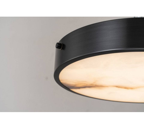 Накладной светильник Belfast Devon 3395-3 BL MB