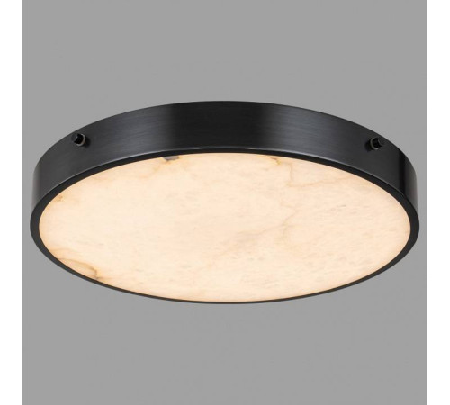 Накладной светильник Belfast Devon 3395-4 BL MB