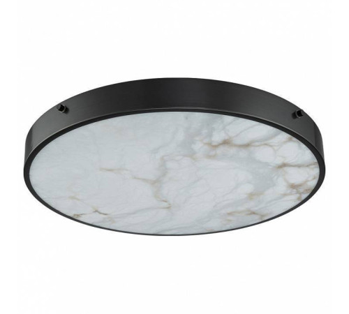 Накладной светильник Belfast Devon 3395-4 BL MB