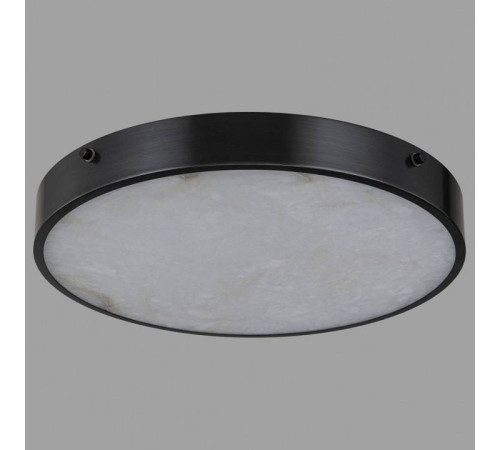 Накладной светильник Belfast Devon 3395-4 BL MB