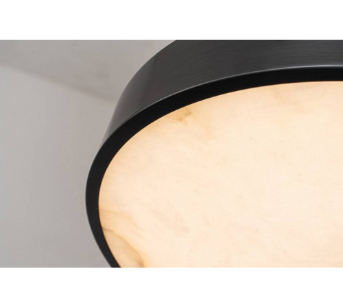 Накладной светильник Belfast Devon 3395-4 BL MB