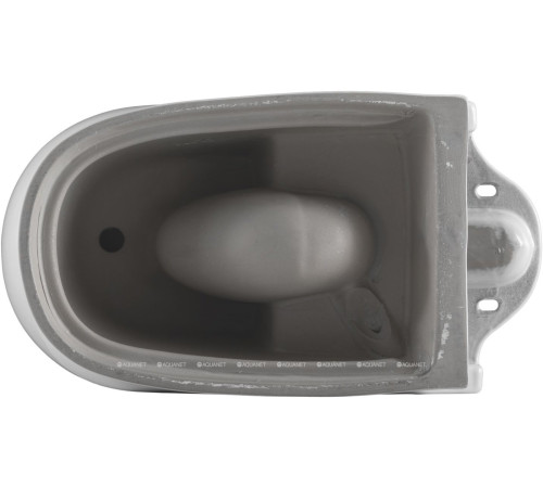 Чаша напольного унитаза Aquanet Ray-C с сиденьем Soft Close Slim Rimless 00326011