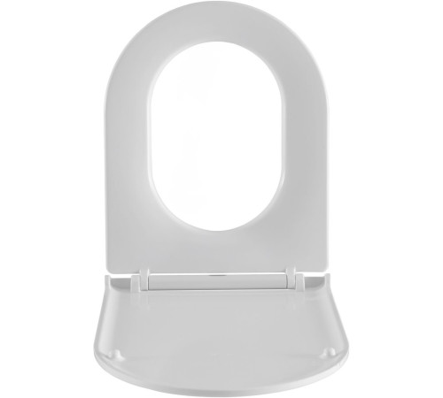 Чаша напольного унитаза Aquanet Ray-C с сиденьем Soft Close Slim Rimless 00326011