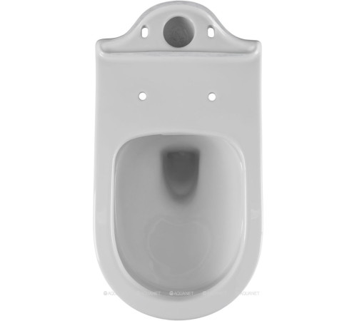 Чаша напольного унитаза Aquanet Ray-C с сиденьем Soft Close Slim Rimless 00326011