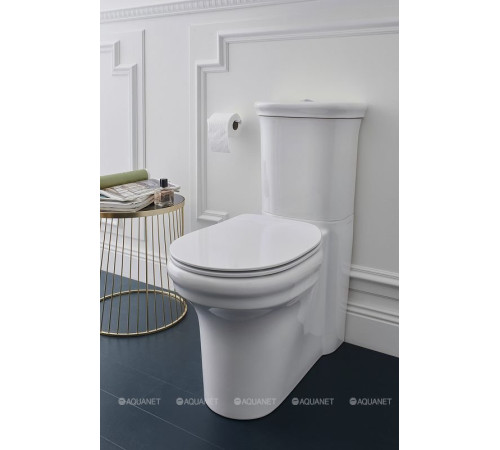 Чаша напольного унитаза Jacob Delafon Cleo белый UJAC102-0