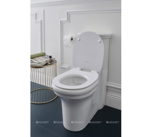 Чаша напольного унитаза Jacob Delafon Cleo белый UJAC102-0