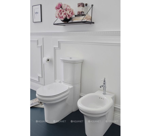 Чаша напольного унитаза Jacob Delafon Cleo белый UJAC102-0