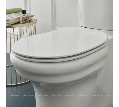 Чаша напольного унитаза Jacob Delafon Cleo белый UJAC102-0