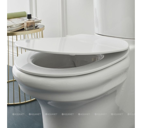 Чаша напольного унитаза Jacob Delafon Cleo белый UJAC102-0