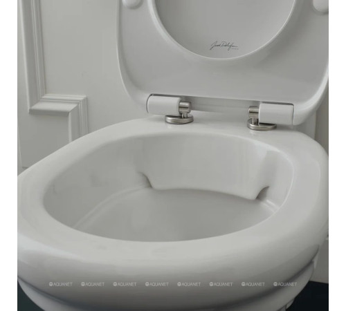 Чаша напольного унитаза Jacob Delafon Cleo белый UJAC102-0