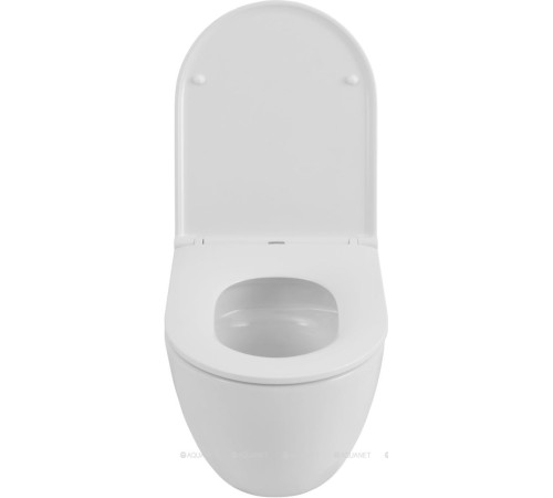 Унитаз подвесной Allen Brau Priority Tornado без сиденья 515x365 мм белый 4.31008.20