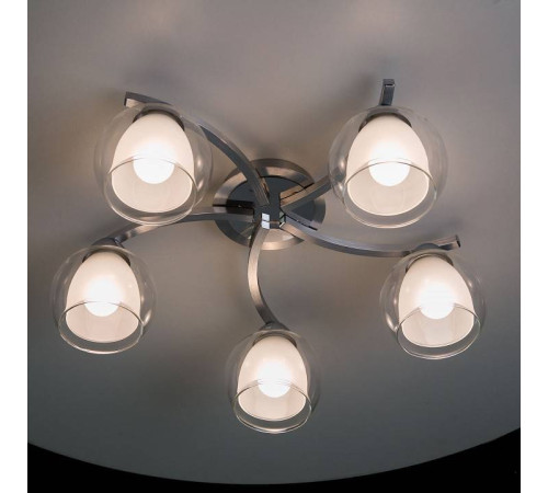 Потолочная люстра Citilux Кристи CL152157