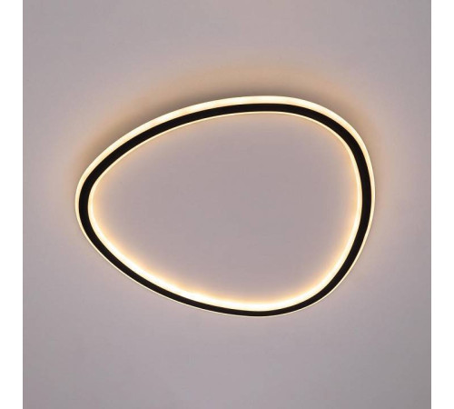 Накладной светильник Citilux ТRIO CL215B251E