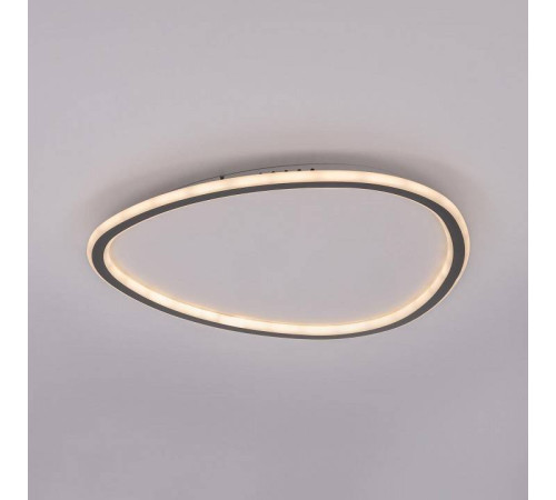 Накладной светильник Citilux ТRIO CL215B251E