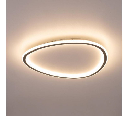 Накладной светильник Citilux ТRIO CL215B251E