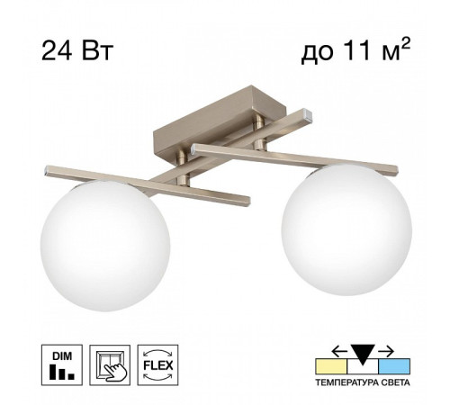 Накладной светильник Citilux DORSY CL223121