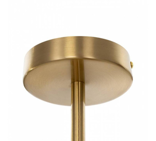 Люстра на штанге Citilux RONNY CL242163