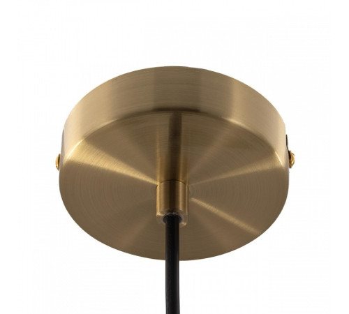 Подвесной светильник Citilux TENDY CL244021