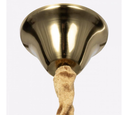 Подвесная люстра Citilux Jane CL304163