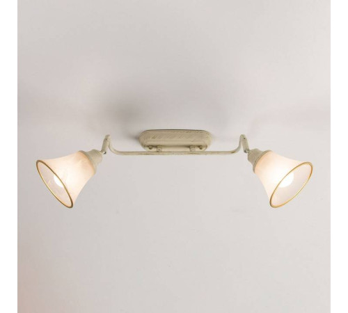 Спот Citilux Прованс CL511524