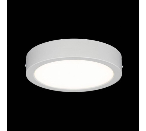 Накладной светильник Citilux Галс CL5516N