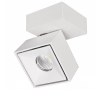 Спот Citilux Стамп CL558020N