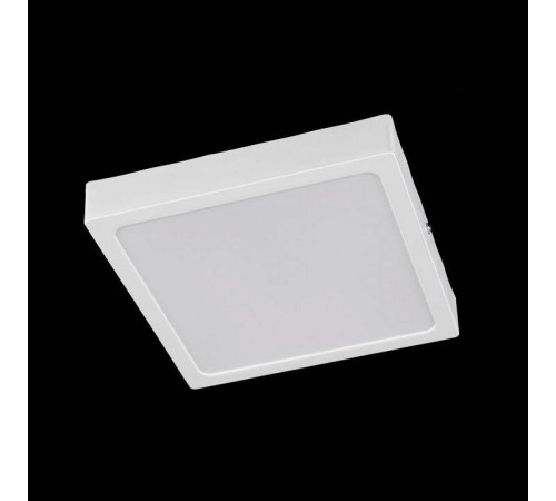 Накладной светильник Citilux Галс CL55K22N