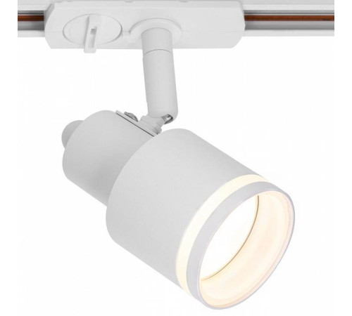 Светильник на штанге Citilux Bruno CL565T10