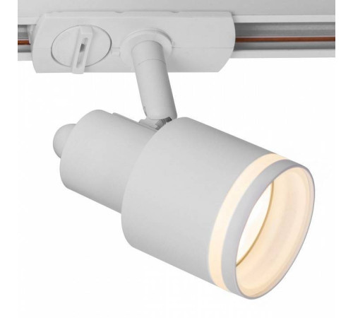 Светильник на штанге Citilux Bruno CL565T10