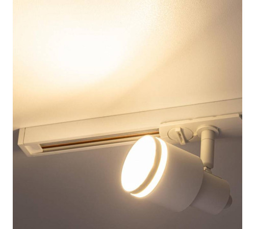 Светильник на штанге Citilux Bruno CL565T10