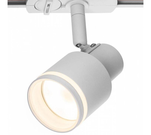 Светильник на штанге Citilux Bruno CL565T10