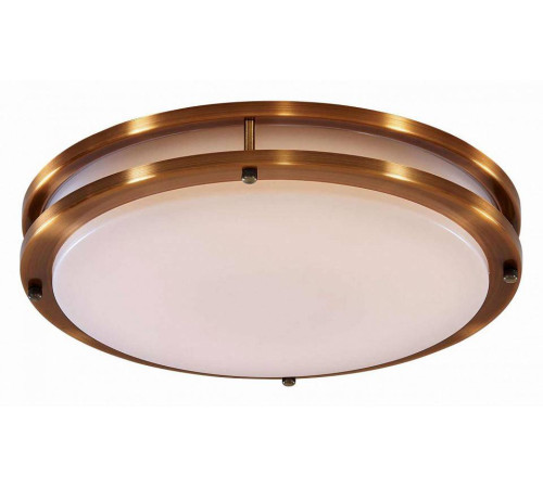 Накладной светильник Citilux Бостон CL709323N