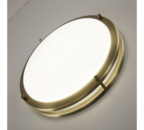 Накладной светильник Citilux Бостон CL709323N